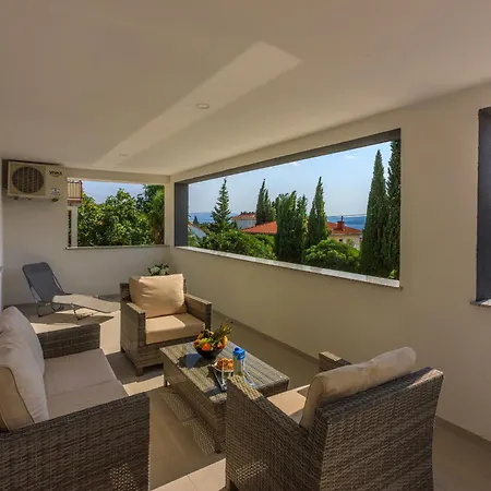 Cvetkovic 크리크베니카